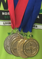 NVSO Medals
